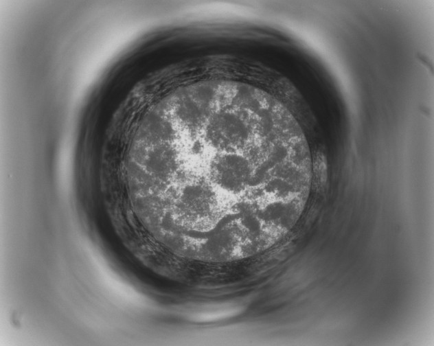 X0000102470765200808291604