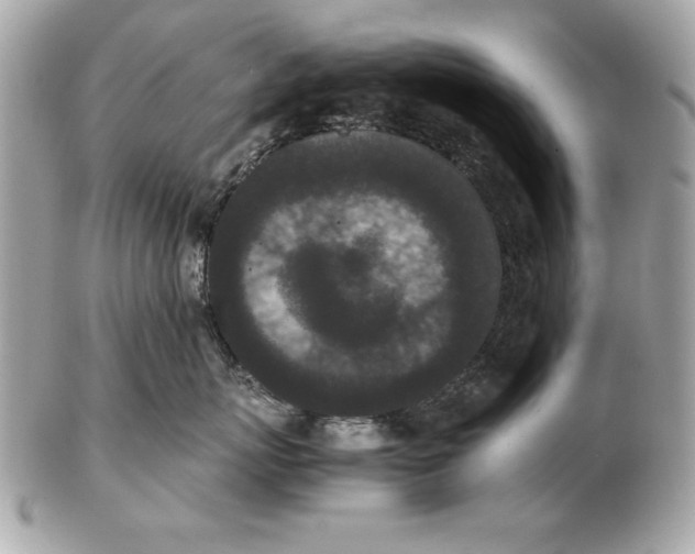 X0000102470767200808291604
