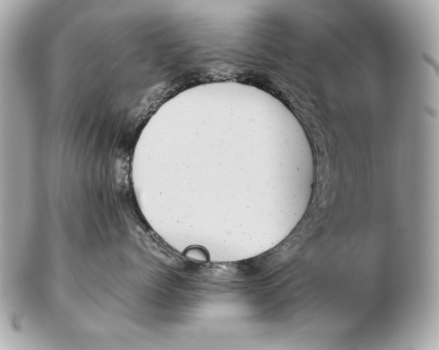 X0000102470768200808291604