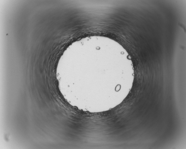 X0000102470769200808291603