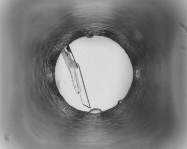 X0000102470771200808291603