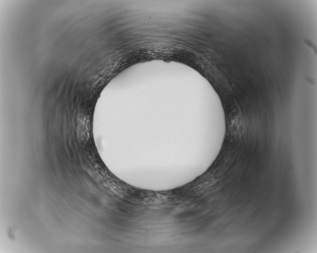 X0000102470772200808291603
