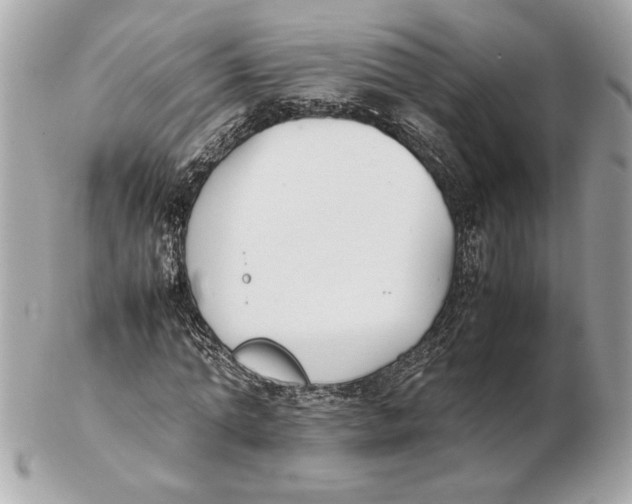 X0000102470774200808291603
