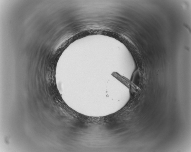 X0000102470775200808291603