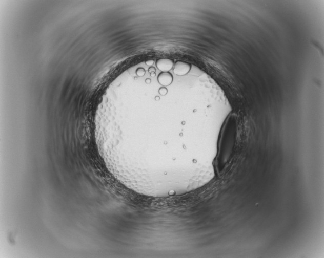 X0000102470776200808291603