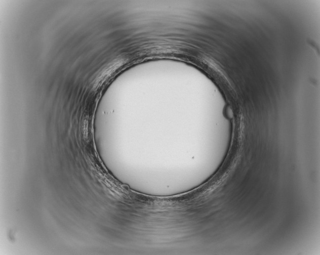 X0000102470777200808291603