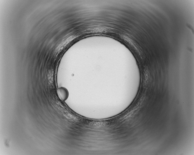 X0000102470778200808291603