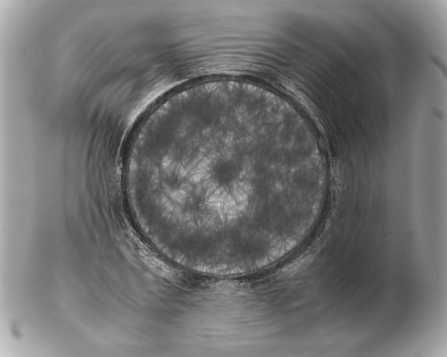 X0000102470779200808291603