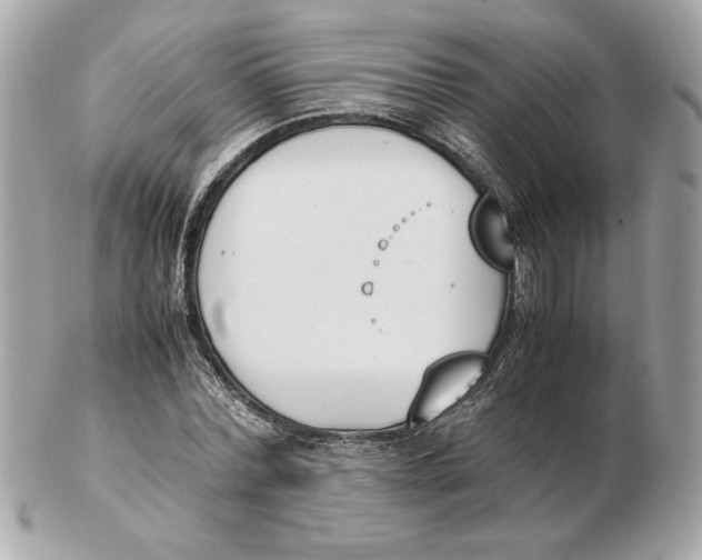 X0000102470780200808291603