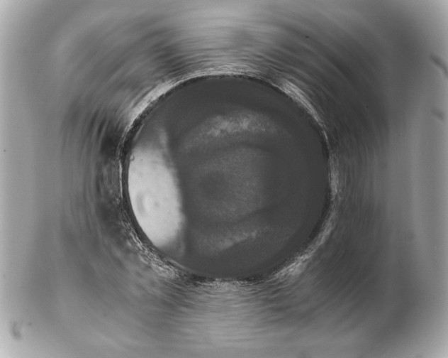 X0000102470781200808291603