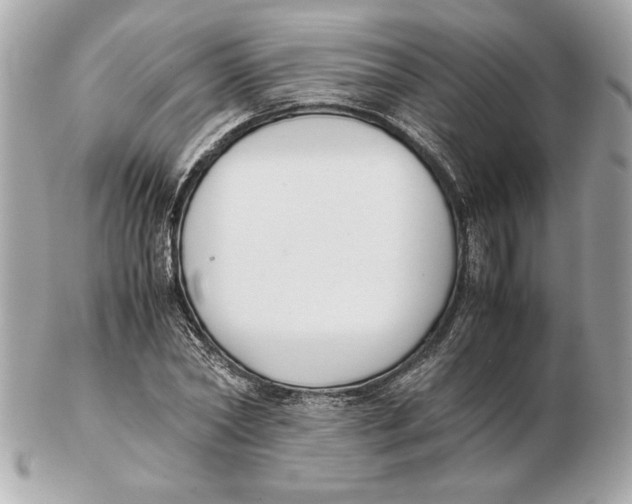 X0000102470782200808291603