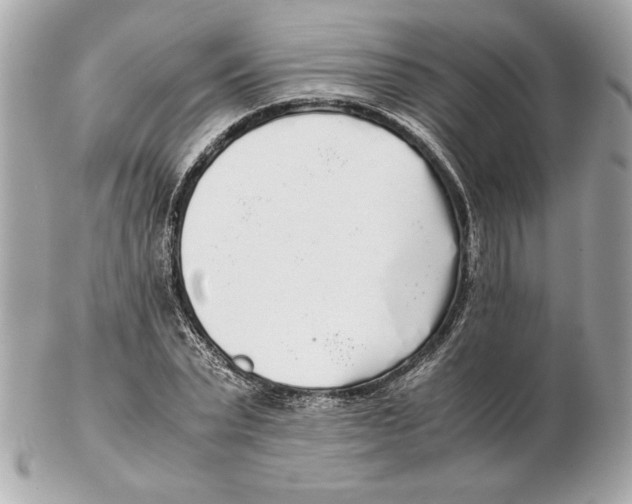 X0000102470783200808291603