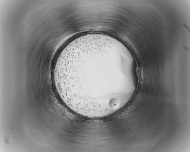 X0000102470784200808291603