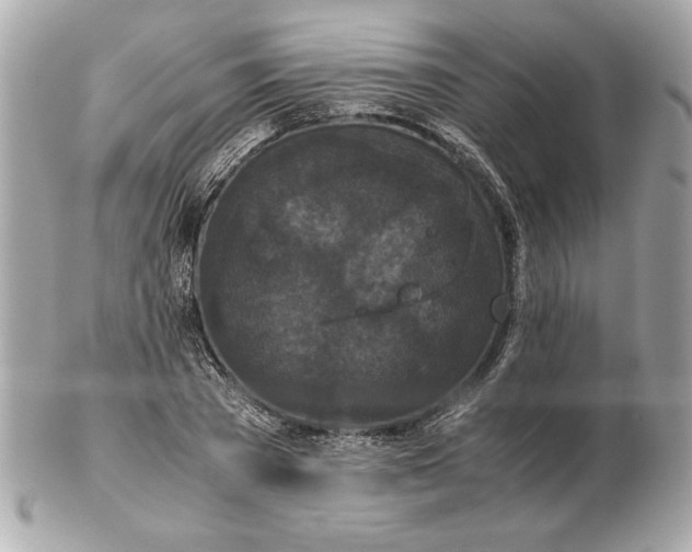X0000102470785200808291603