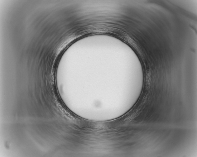 X0000102470787200808291603