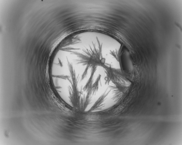 X0000102470788200808291603