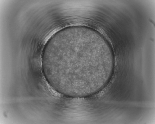 X0000102470789200808291603