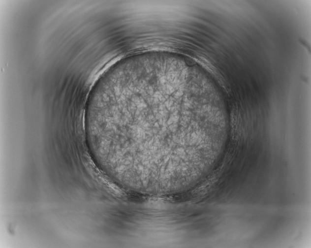 X0000102470790200808291603