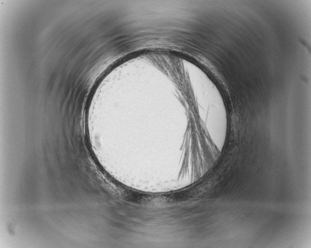 X0000102470791200808291603
