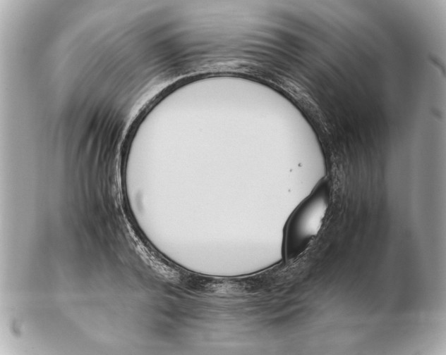 X0000102470792200808291603