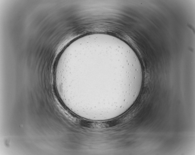 X0000102470795200808291603