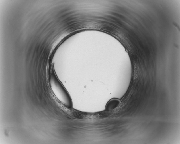 X0000102470796200808291603