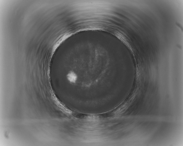 X0000102470797200808291603