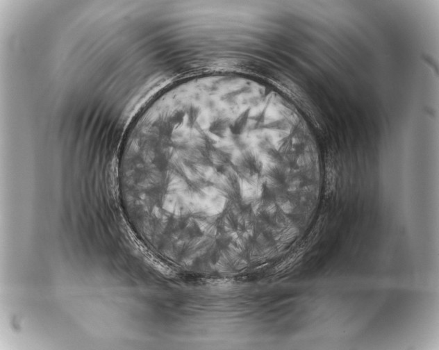 X0000102470798200808291603