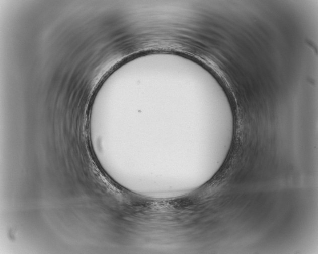 X0000102470799200808291603
