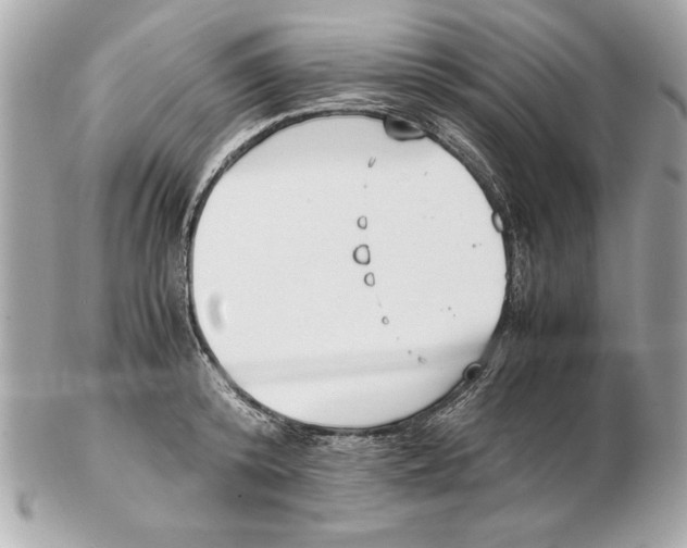 X0000102470800200808291603