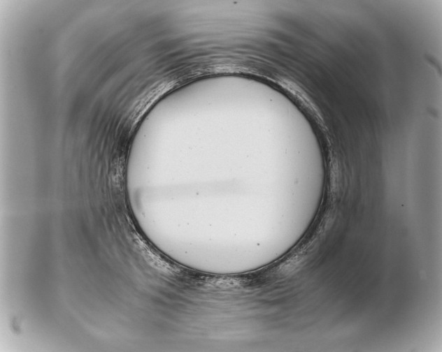 X0000102470801200808291603