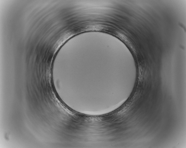 X0000102470802200808291603