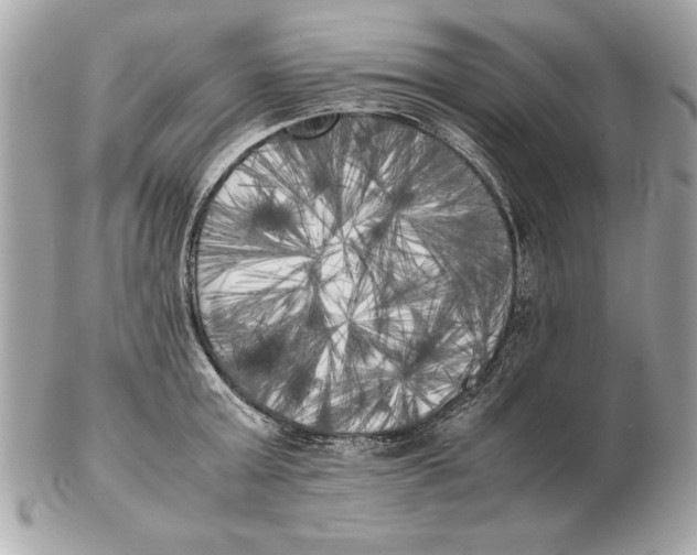 X0000102470803200808291603