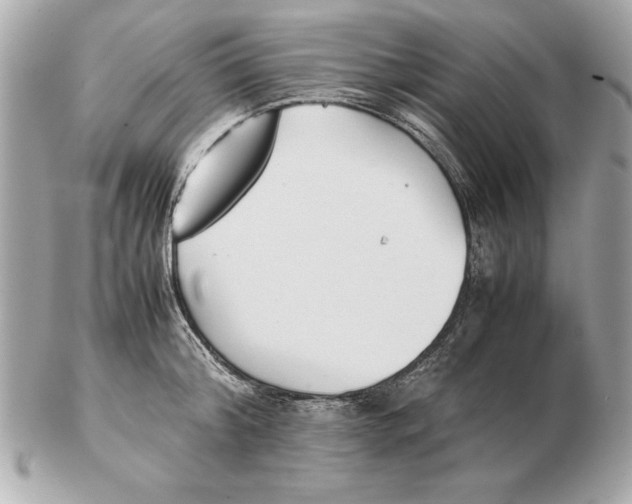 X0000102470804200808291603