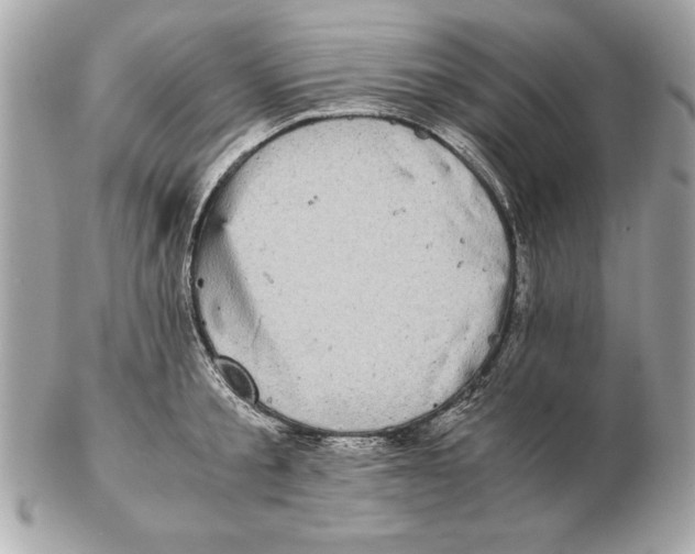 X0000102470805200808291603