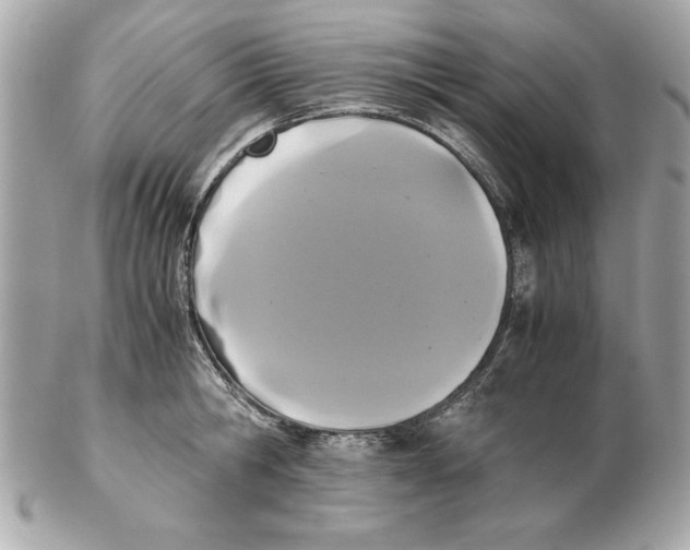 X0000102470806200808291603