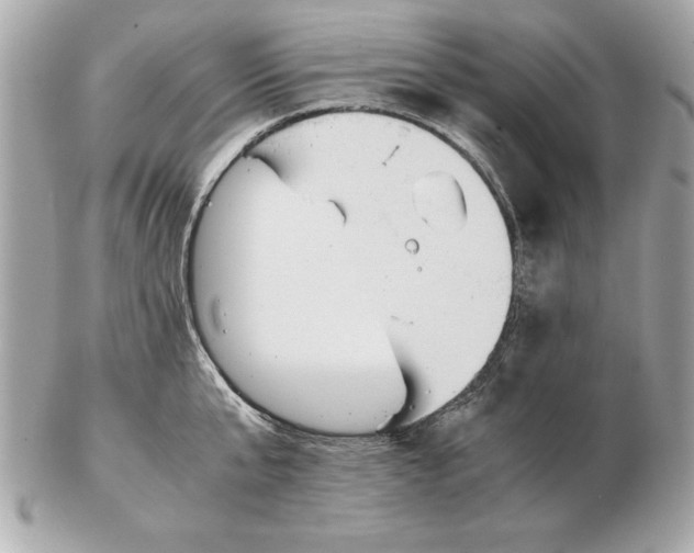 X0000102470807200808291603