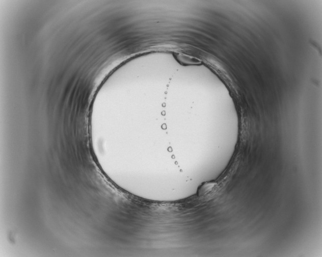 X0000102470808200808291603