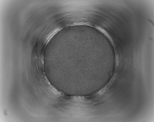 X0000102470809200808291603