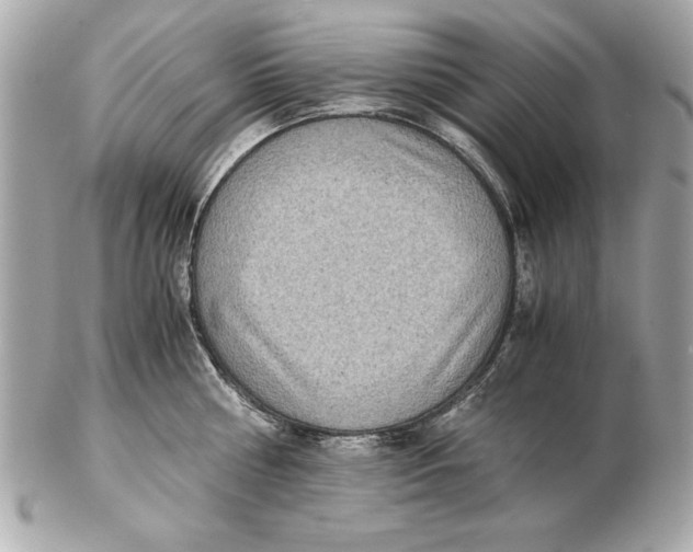 X0000102470810200808291603