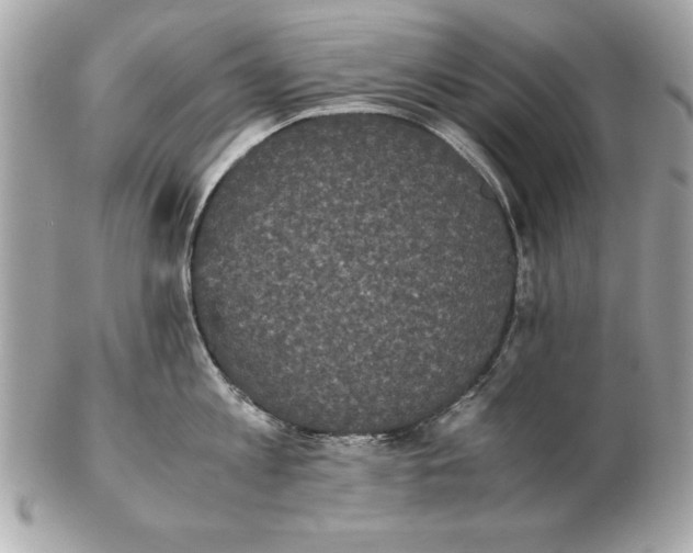 X0000102470813200808291603