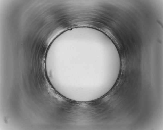 X0000102470814200808291603