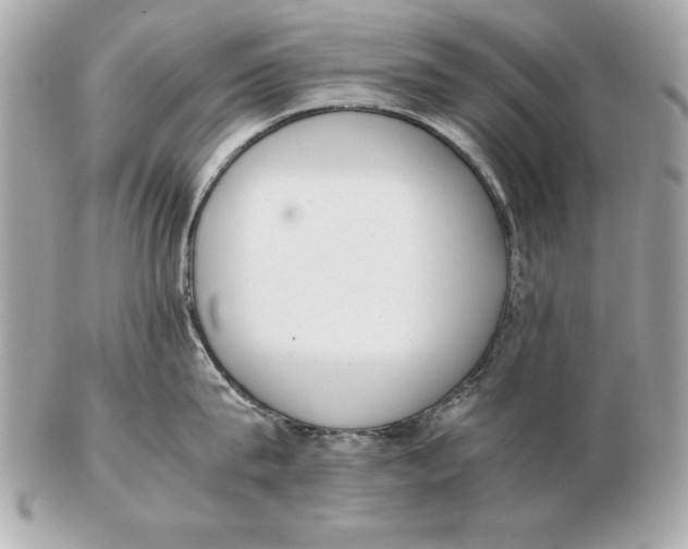 X0000102470815200808291603