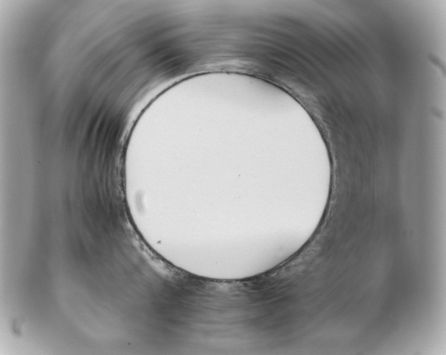 X0000102470816200808291603