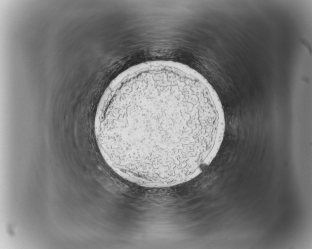 X0000102470817200808291602