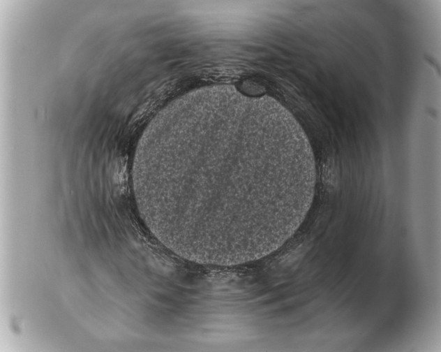 X0000102470818200808291602
