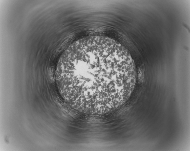 X0000102470819200808291602