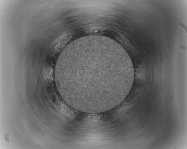 X0000102470820200808291602