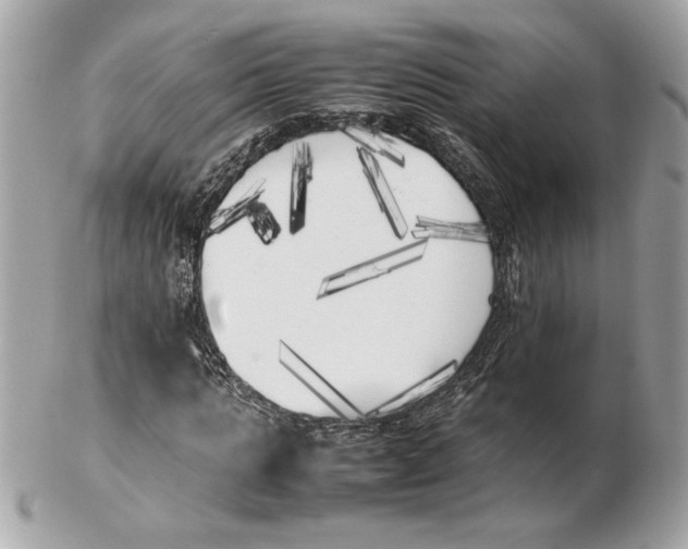 X0000102470821200808291602