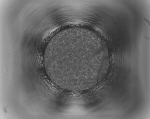 X0000102470822200808291602